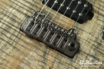 FUTURA-S HH LTD / Alder Back Spalted Maple Top Body - Transparent Black